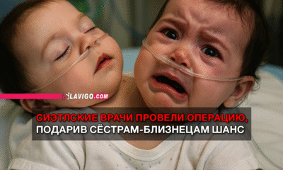 новости штата Вашингтон на slavigo.com