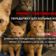 новости штата Вашингтон на slavigo.com