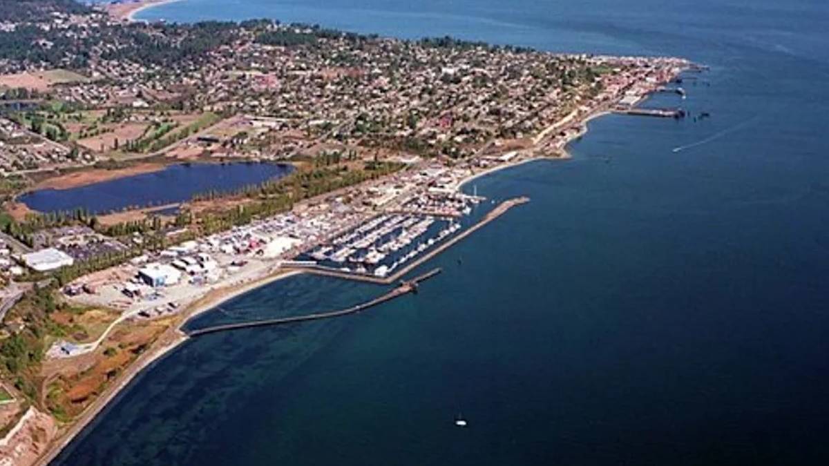 свежие новости сиетла только на slavigo.com