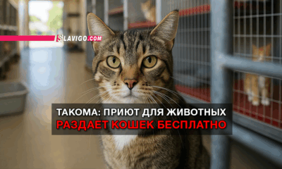 новости штата Вашингтон на slavigo.com