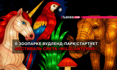 новости штата Вашингтон на slavigo.com