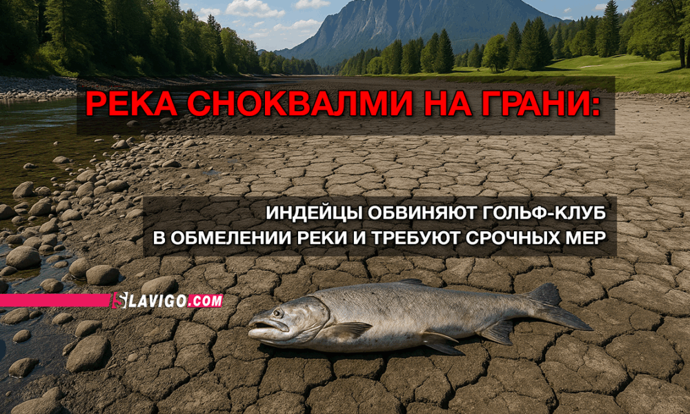 свежие новости сиетла только на slavigo.com