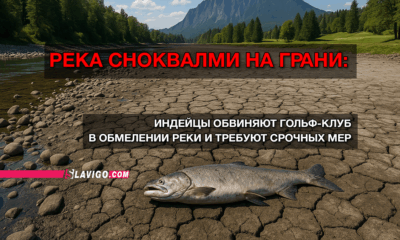 свежие новости сиетла только на slavigo.com