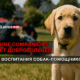 свежие новости сиетла только на slavigo.com