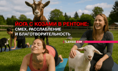свежие новости сиетла только на slavigo.com