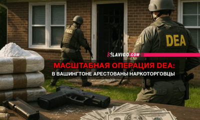 свежие новости сиетла только на slavigo.com