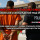 свежие новости сиетла только на slavigo.com