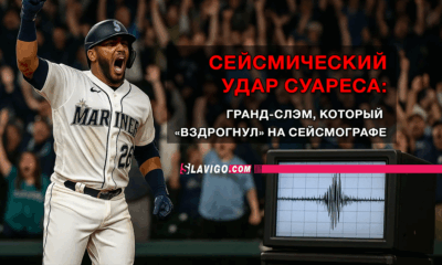 свежие новости сиетла только на slavigo.com