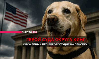 свежие новости сиетла только на slavigo.com