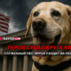 свежие новости сиетла только на slavigo.com