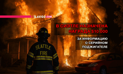 свежие новости сиетла только на slavigo.com