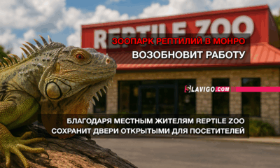 читай свежие новости Сиэтла и пригорода на slavigo.com