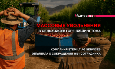 читай свежие новости Сиэтла и пригорода на slavigo.com