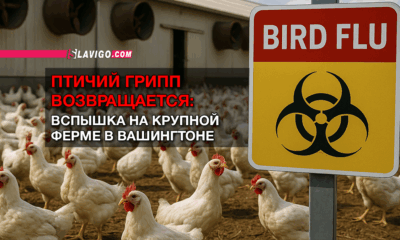 читай свежие новости Сиэтла и пригорода на slavigo.com