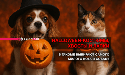 новости штата Вашингтон на slavigo.com