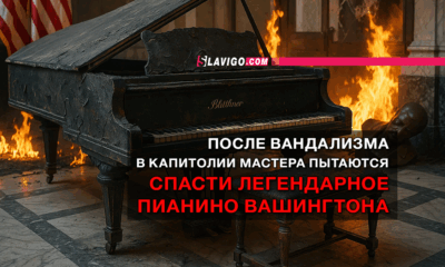 новости штата Вашингтон на slavigo.com