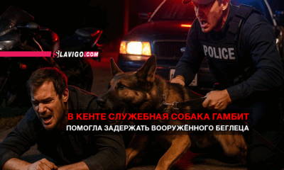 новости штата Вашингтон на slavigo.com