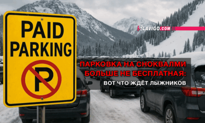 свежие новости сиетла только на slavigo.com