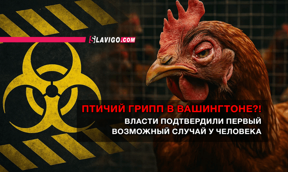 свежие новости сиетла только на slavigo.com
