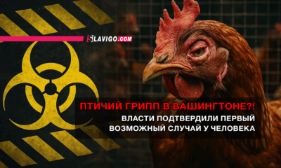 свежие новости сиетла только на slavigo.com