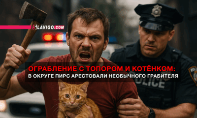 читай свежие новости Сиэтла и пригорода на slavigo.com