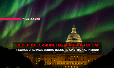 читай свежие новости Сиэтла и пригорода на slavigo.com