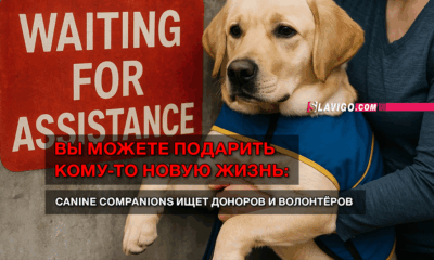 новости штата Вашингтон на slavigo.com