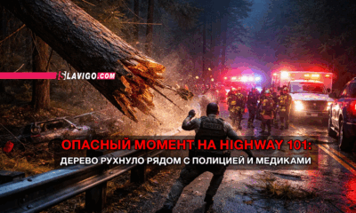 новости штата Вашингтон на slavigo.com