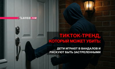 свежие новости сиетла только на slavigo.com