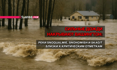 свежие новости сиетла только на slavigo.com