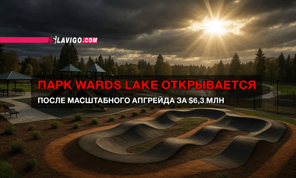 свежие новости сиетла только на slavigo.com