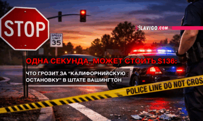 свежие новости сиетла только на slavigo.com