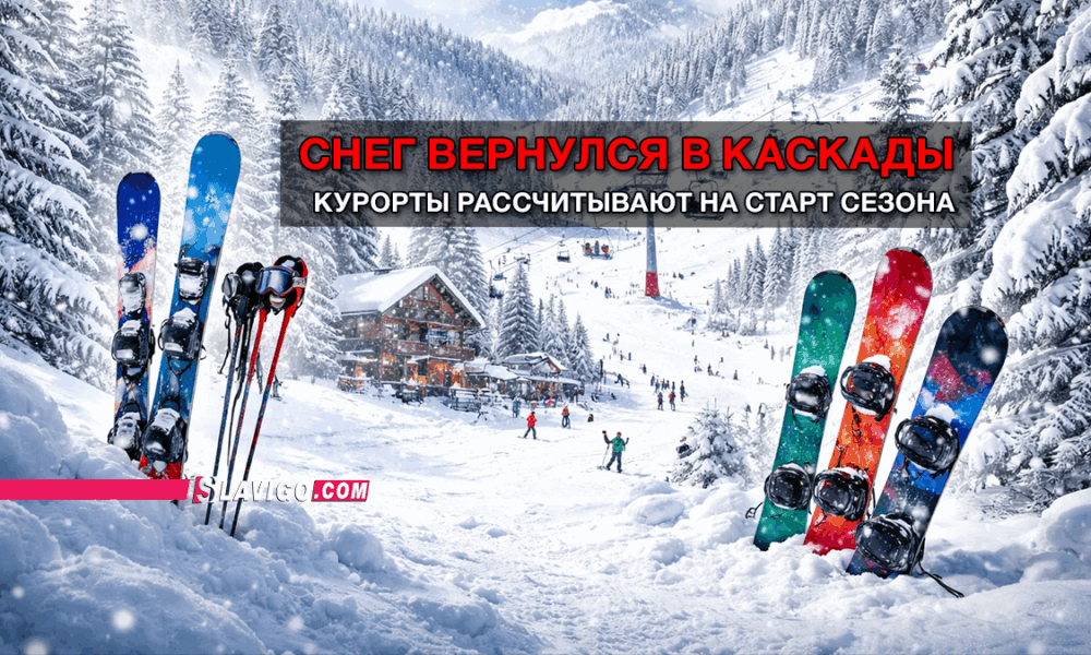свежие новости сиетла только на slavigo.com