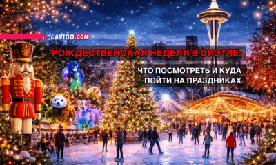 свежие новости сиетла только на slavigo.com
