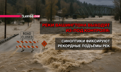 читай свежие новости Сиэтла и пригорода на slavigo.com