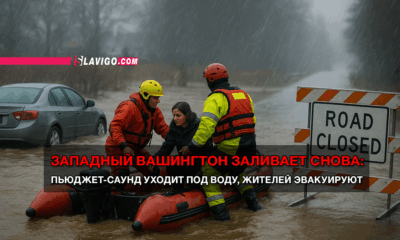 читай свежие новости Сиэтла и пригорода на slavigo.com