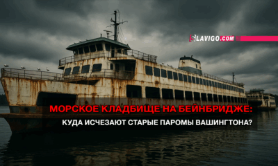 новости штата Вашингтон на slavigo.com