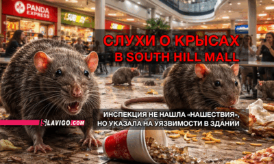свежие новости сиетла только на slavigo.com