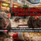 свежие новости сиетла только на slavigo.com