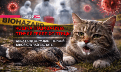 читай свежие новости Сиэтла и пригорода на slavigo.com