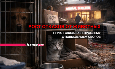 новости штата Вашингтон на slavigo.com