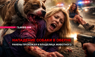 новости штата Вашингтон на slavigo.com