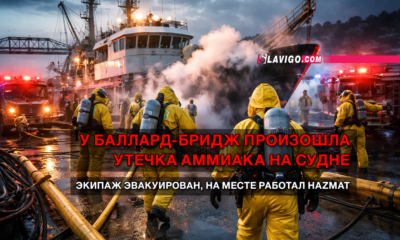 новости штата Вашингтон на slavigo.com