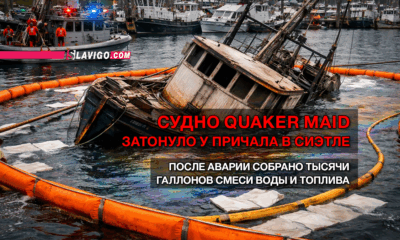 свежие новости сиетла только на slavigo.com