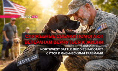 свежие новости сиетла только на slavigo.com