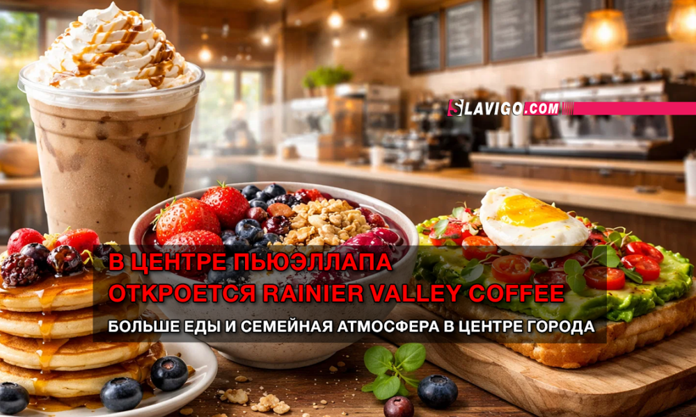 свежие новости сиетла только на slavigo.com