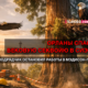 новости штата Вашингтон на slavigo.com
