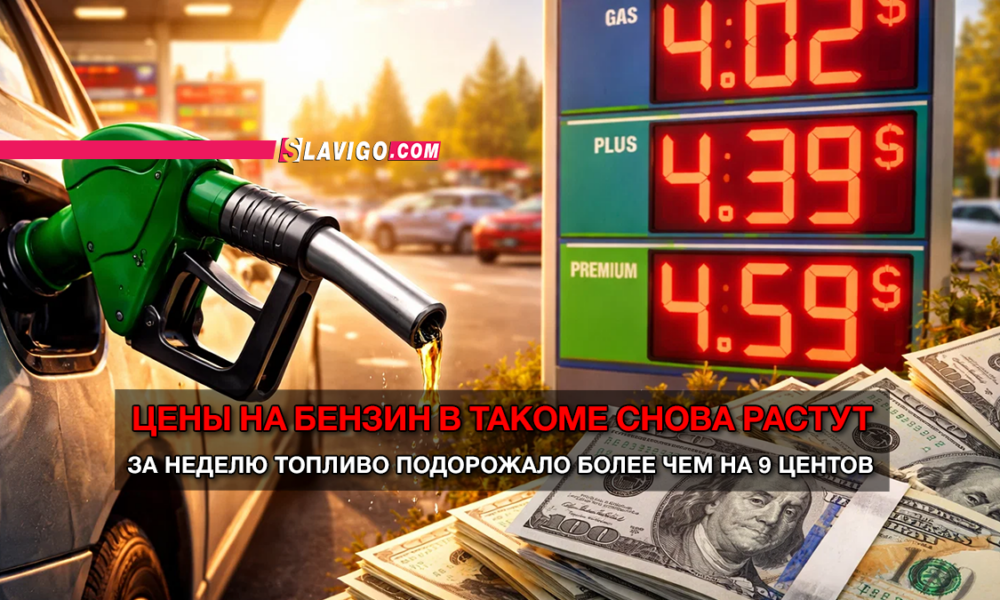 читай свежие новости Сиэтла и пригорода на slavigo.com