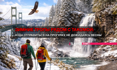 новости штата Вашингтон на slavigo.com