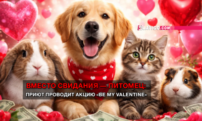 новости штата Вашингтон на slavigo.com